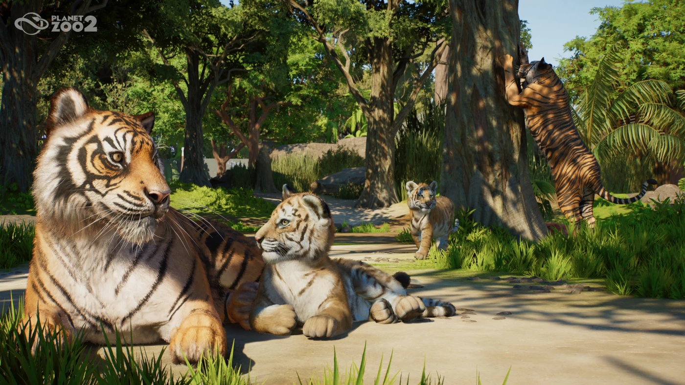 Planet Zoo 2 قادم هذا العام، ويضم حيوانات طائرة ومائية